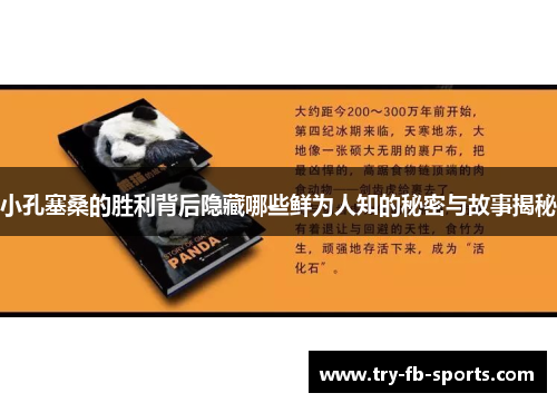 小孔塞桑的胜利背后隐藏哪些鲜为人知的秘密与故事揭秘