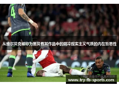 从维尔贝克被称为黑贝看其作品中的阴冷现实主义气质的内在哲思性 从维尔贝克被称为黑贝看其作品中的阴冷现实主义气质的内在哲思性