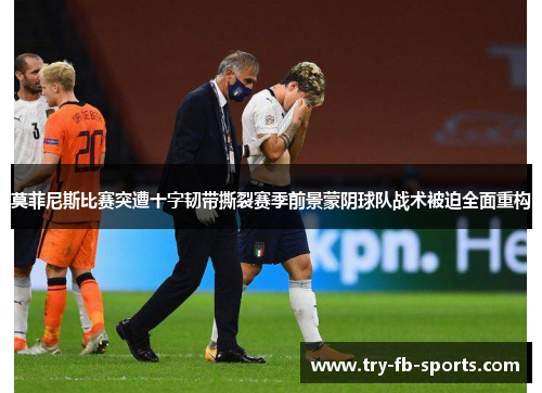 莫菲尼斯比赛突遭十字韧带撕裂赛季前景蒙阴球队战术被迫全面重构 莫菲尼斯比赛突遭十字韧带撕裂赛季前景蒙阴球队战术被迫全面重构